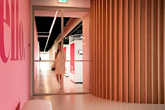 Junior Online marketeer (met focus op SEA)